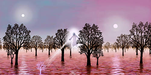 Elohim